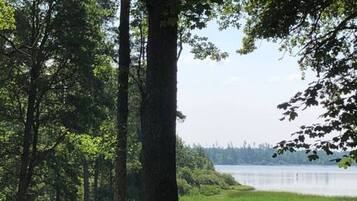 A natural landscape with trees and a lake.