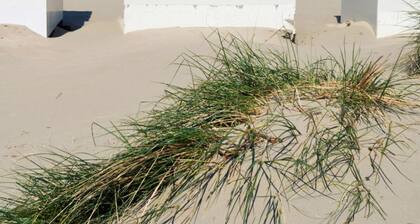 Klassifizierte Luxus-strand-villa Catherine mit Sauna und Strandkabine