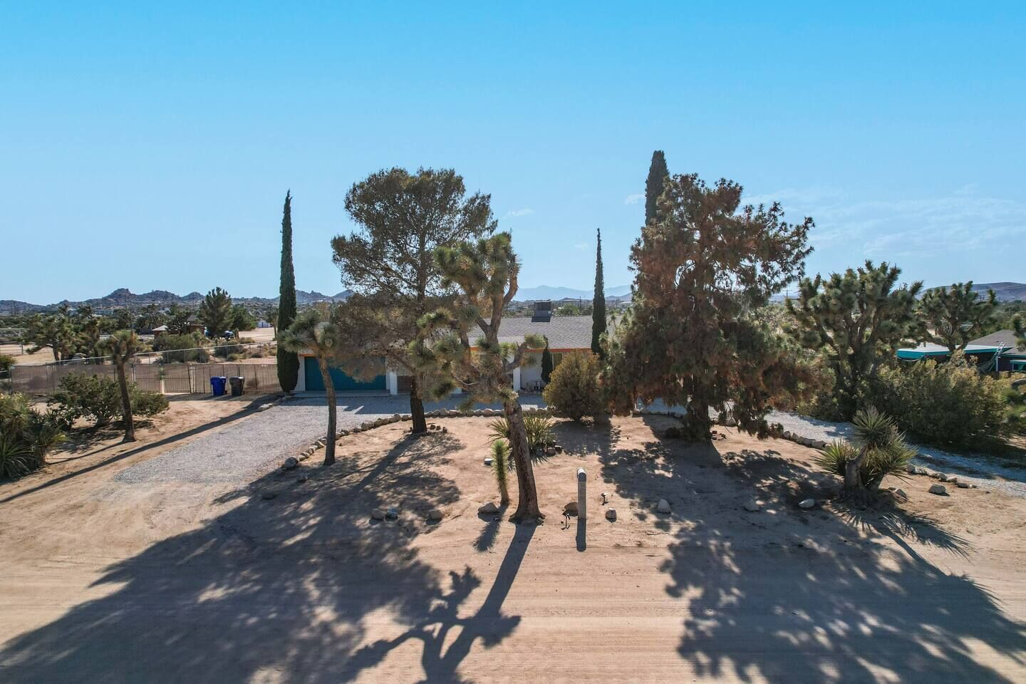 A desert landscape with sparse vegetation, including cacti and a few trees, and a building with a blue door in the background.