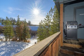 Property grounds - 3 bedroom with private hot tub, walk to downtown (Winter Park)