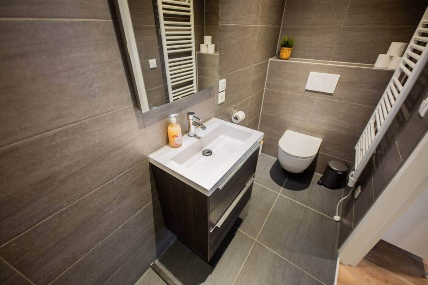 Une salle de bain moderne avec un lavabo blanc, des carreaux foncés, des toilettes et une petite plante.