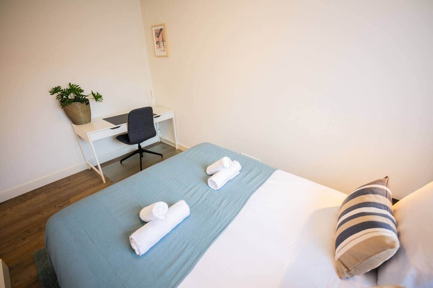 Une chambre d’hôtel avec un lit, un bureau, une chaise et une petite plante.