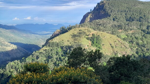 A mountainous landscape with dense forest and a prominent rocky peak. - Ella Golden view guest (Ella)