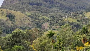 A lush, green landscape with a hill and scattered buildings. - Ella Golden view guest (Ella)