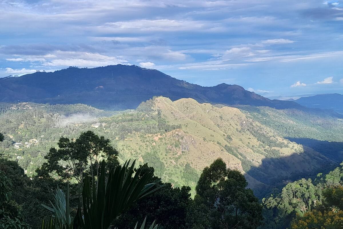 Un paisaje montañoso con un valle y árboles dispersos.