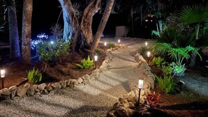 Een verlicht tuinpad 's nachts, met stenen randen, omgeven door tropische planten en bomen.