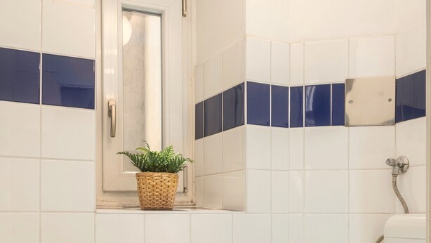 A bathroom with a toilet, a radiator, a small window with a plant, and a towel rack. - Designer Apartment - 5 min to Center (Vienna)