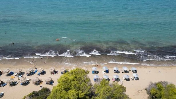 Ein Strand mit klarem türkisblauem Wasser, Sandstrand und Sonnenschirmen.