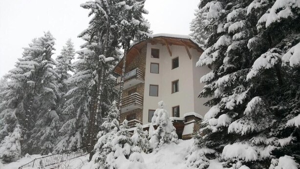 Un edificio de varios pisos rodeado de árboles cubiertos de nieve.