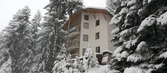 Apartments Planinski raj / Apartment Planinski raj 3