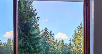 Apartments Planinski raj / Apartment Planinski raj 4