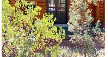 New Build Modern Log Cabin in the Heart of Pine on 2 acres of secluded Forest