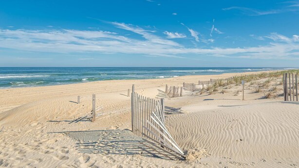 A sandy beach with a wooden fence and dunes.