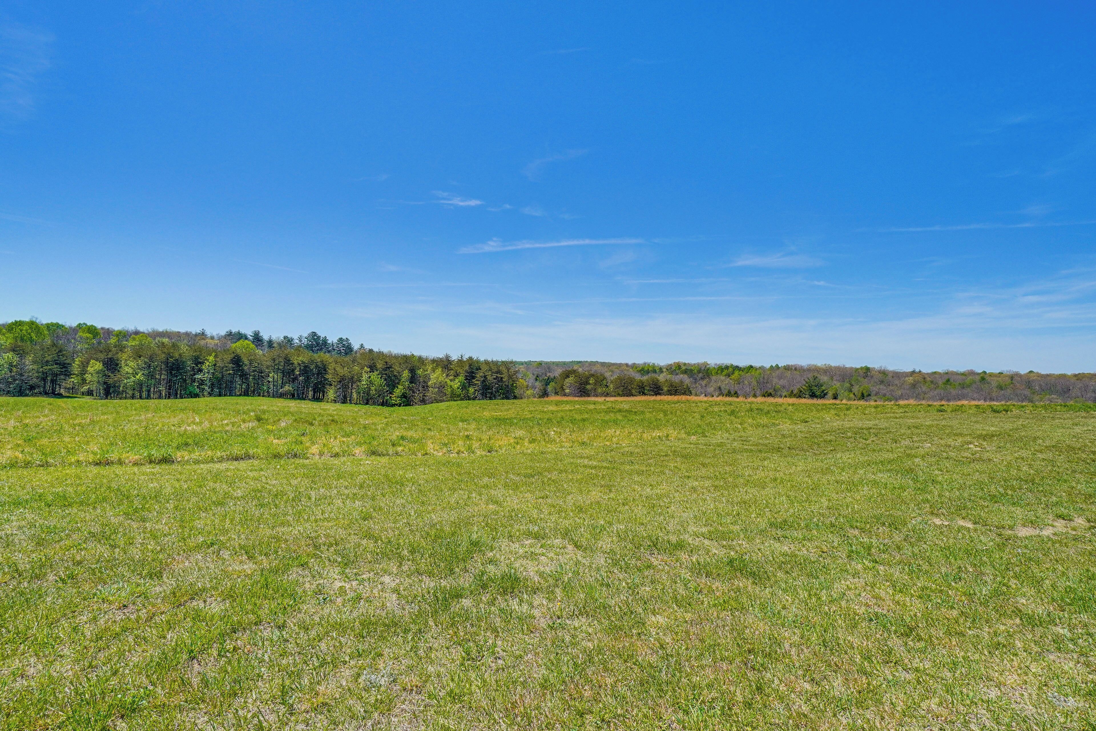 A wide-open grassy field with a clear blue sky and a line of trees in the distance.