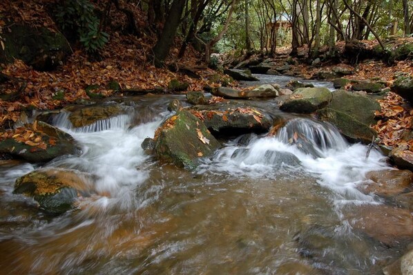 Un arroyo fluye sobre rocas en un área boscosa con árboles y hojas secas.
