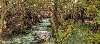 Free Local  Estate Tours +  Peaceful Cabin + Hot Tub Overlooks Creek