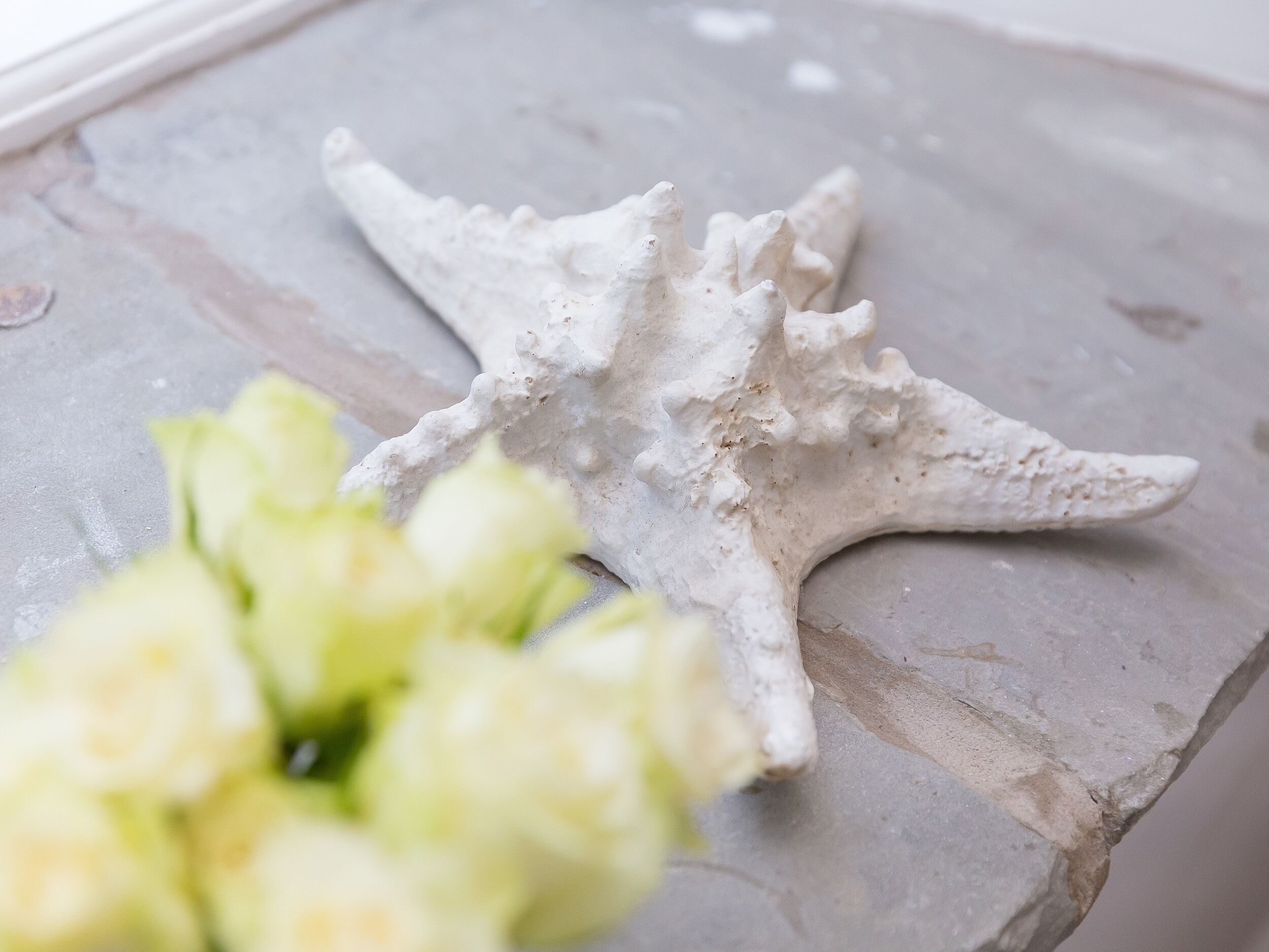 A starfish on a stone surface.