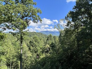 Property grounds - Holly View Large Multi-Level Living Cabin Close to Town with Gorgeous Views (Bryson City)