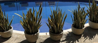 Casa de la Luna in Acapulco