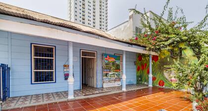 MANGO TREE HOSTEL 4 20
