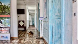 Un pasillo con suelo de baldosas estampadas, un perro dormido y puertas azules.