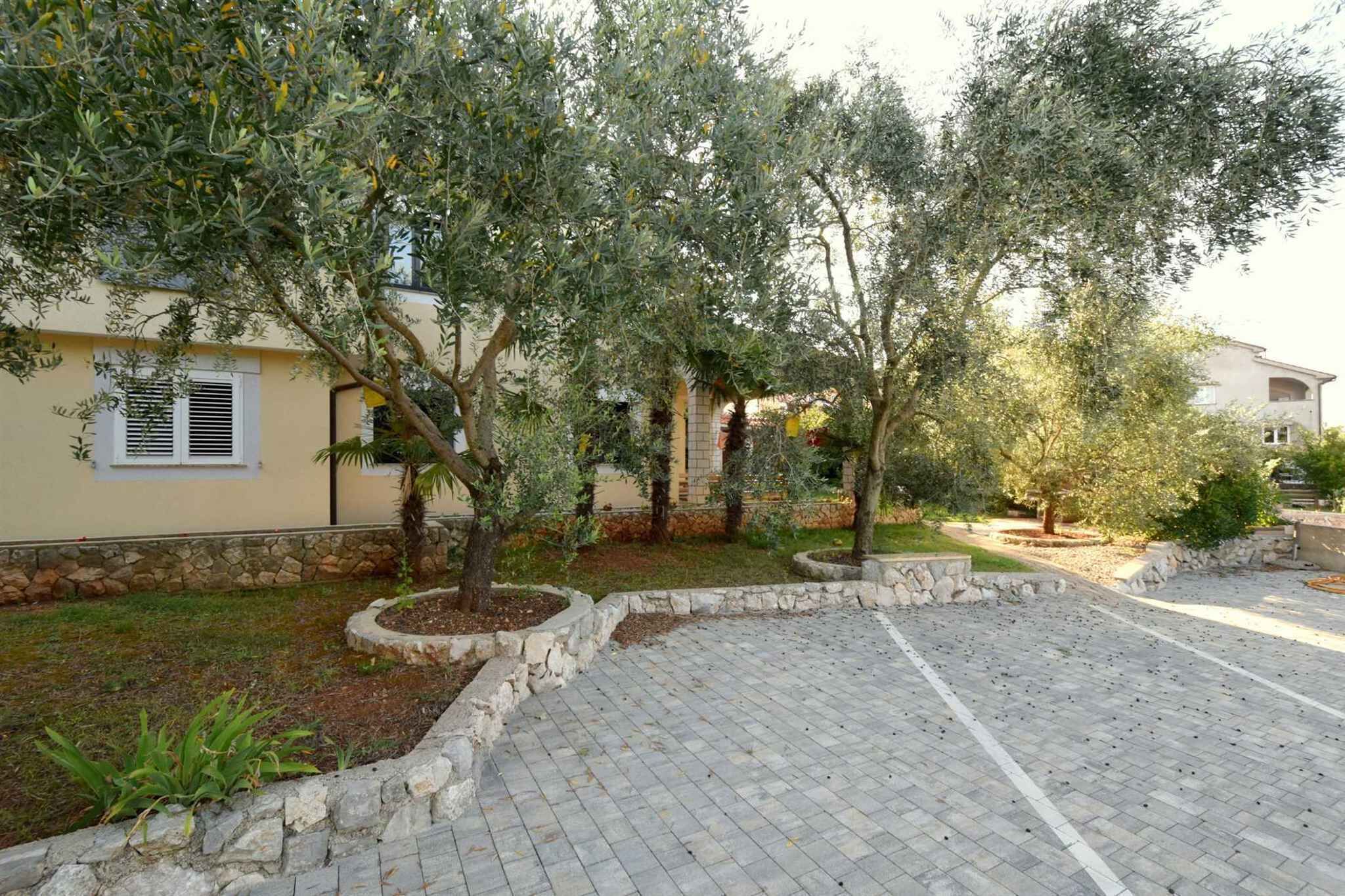 Pátio com oliveiras, um caminho pavimentado e um edifício com paredes de pedra.