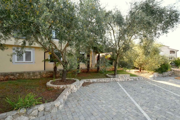 A courtyard with olive trees, a paved walkway, and a building with stone walls.