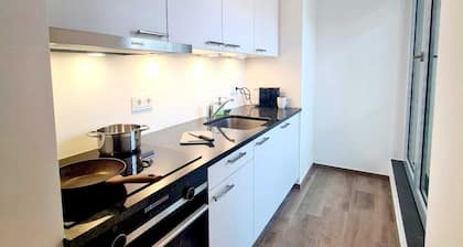 Luxury 1 bedroom with Parking