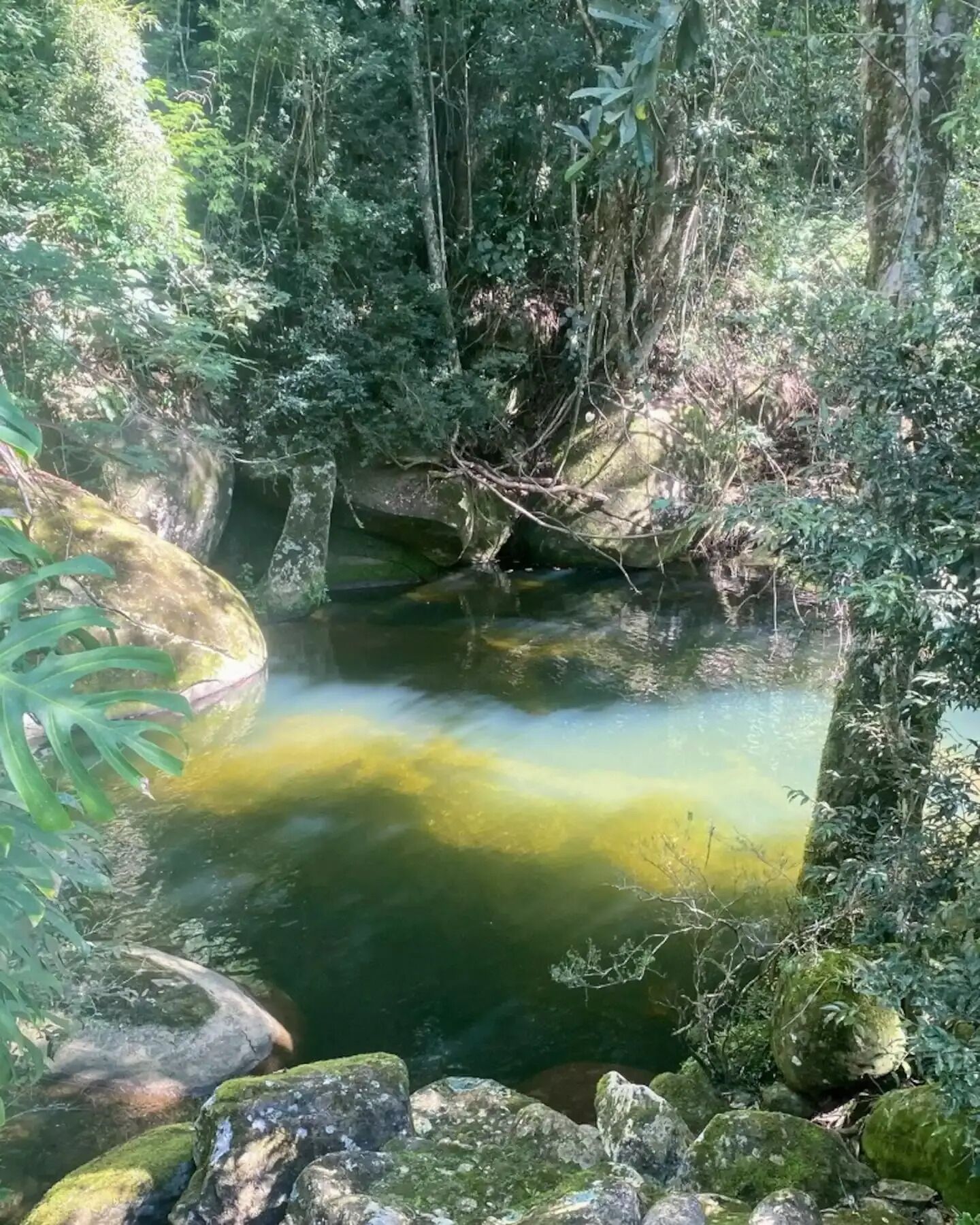 Une étendue d’eau naturelle entourée de rochers et d’une végétation luxuriante.