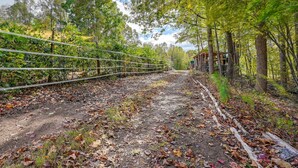 A forested area with a dirt path, wooden fence, and a building in the background.