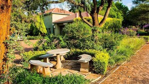 A garden with a stone table and benches, surrounded by lush greenery and a brick pathway. - Zororo Lodge (Polokwane)
