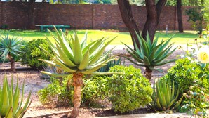 A garden with various plants and a brick wall in the background. - Zororo Lodge (Polokwane)