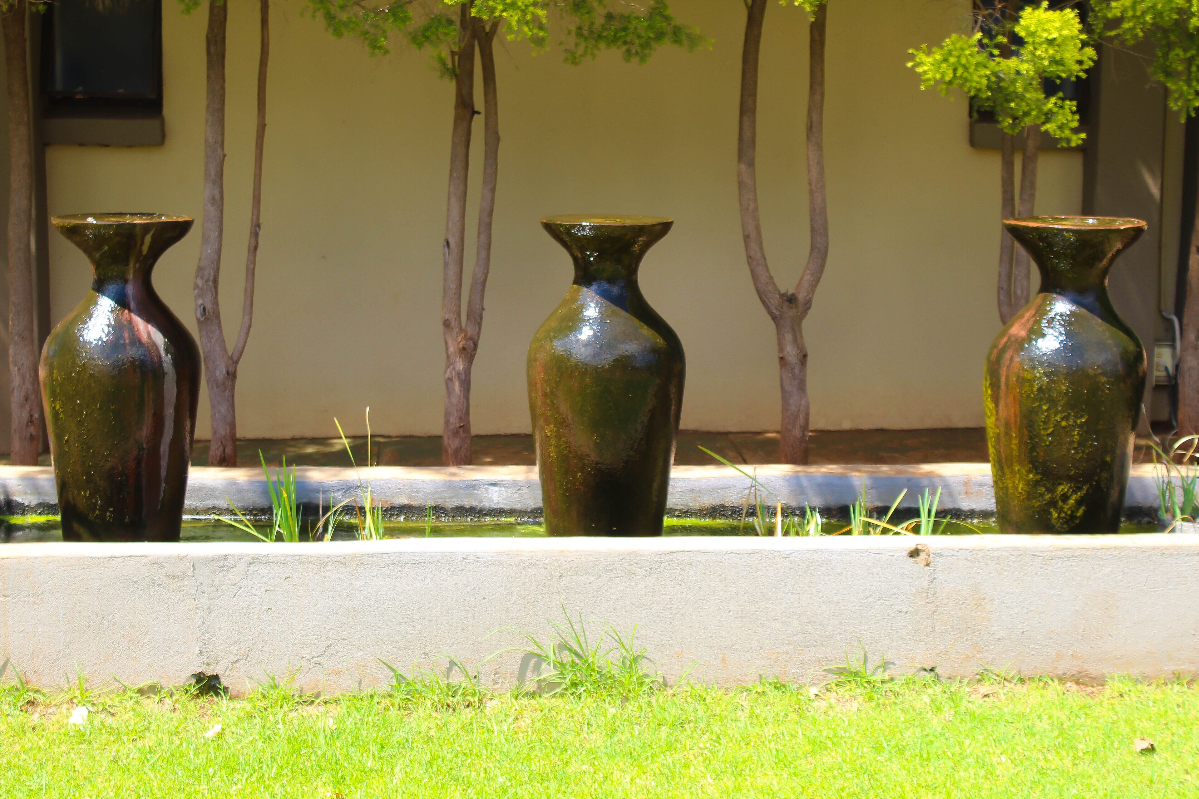 Trois vases sont alignés contre un mur, avec des arbres en arrière-plan.
