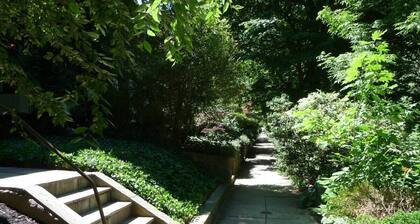 850sq. ft basement apartment in quiet area of Rock Creek Park