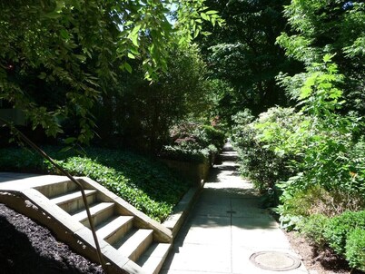 850sq. ft basement apartment in quiet area of Rock Creek Park