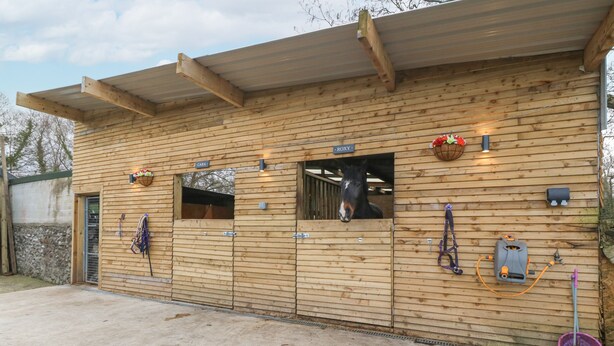 A stable with wooden walls, multiple horse stalls, and equestrian equipment. - Coed y Glyn Bach Equestrian (Caernarfon)