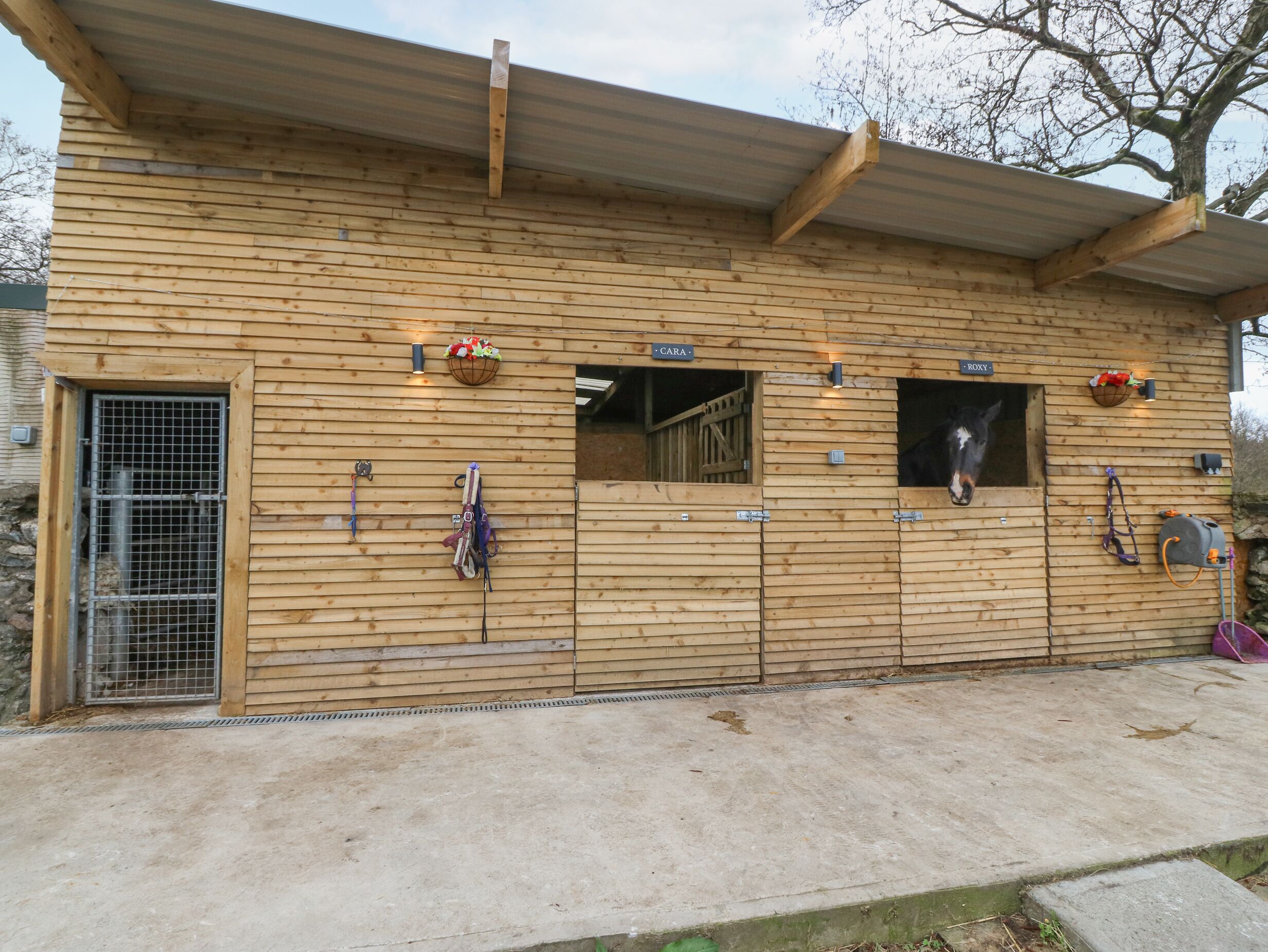 A wooden building with a metal gate, two windows, and a sign reading "CARA" and "ROXY".