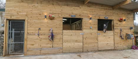 A wooden building with a metal gate, two windows, and a sign reading "CARA" and "ROXY".