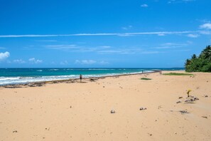 On the beach