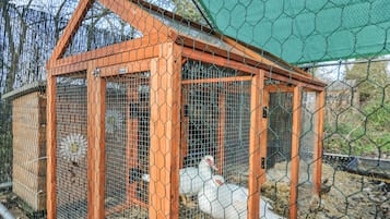 Casa de campo | Jardines del alojamiento