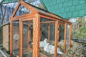 Småhus | Overnattingsstedets uteområder