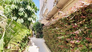 A narrow urban pathway flanked by lush greenery and buildings. - Dizengoff Brique (Tel Aviv)