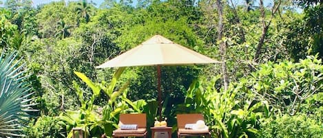 Outdoor pool, pool umbrellas, sun loungers