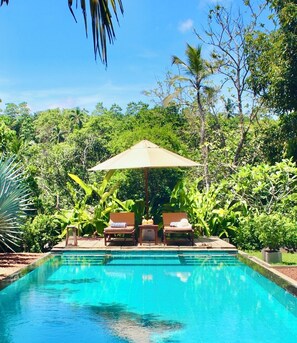 Outdoor pool, pool umbrellas, sun loungers - The Jungle Loft - Galle (Galle)