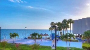 Sports court - Hemingways Writer Retreat | Waterfront Heated Pool (Tampa)