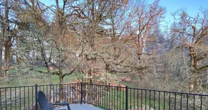 The Rock Tree House - A place to unwind and renew.