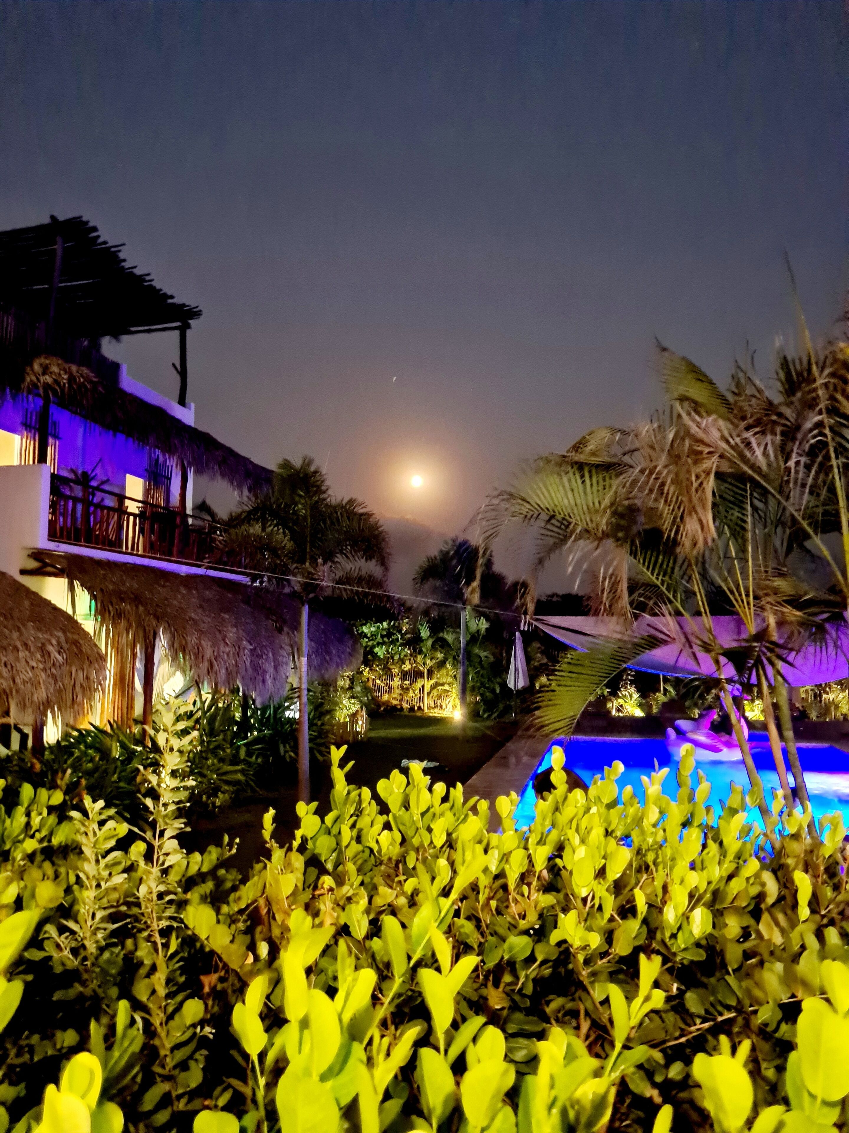 Une vue nocturne d’un complexe hôtelier avec une piscine, des palmiers et une lune dans le ciel.