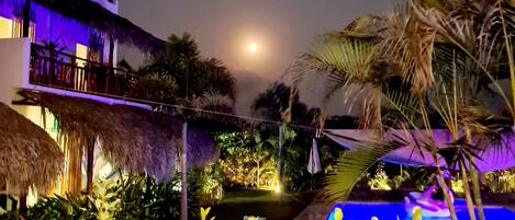 A nighttime view of a resort with a pool, palm trees, and a moon in the sky.