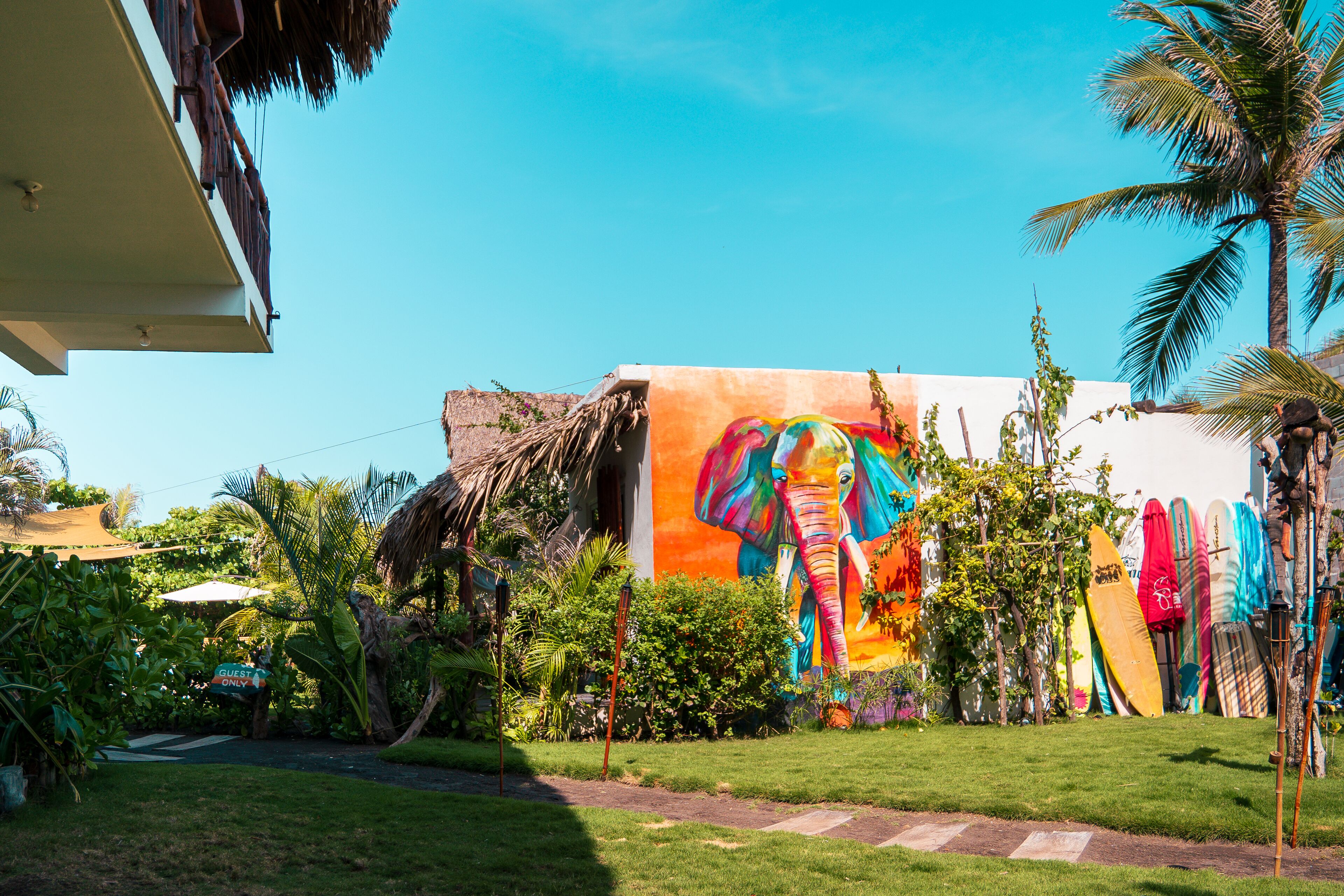 Un edificio con un mural colorido de un elefante, rodeado de plantas tropicales y palmeras.