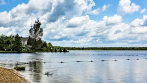 A lakeside view with a sandy beach, calm water, and a row of trees in the background.
